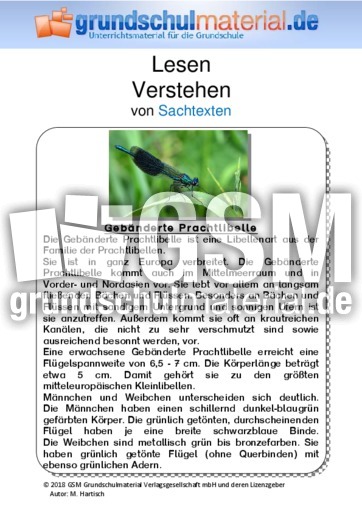 Gebänderte Prachtlibelle  - Sachtext.pdf